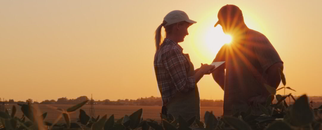 Farmers man and woman communicate in the field at sunset. Use a tablet