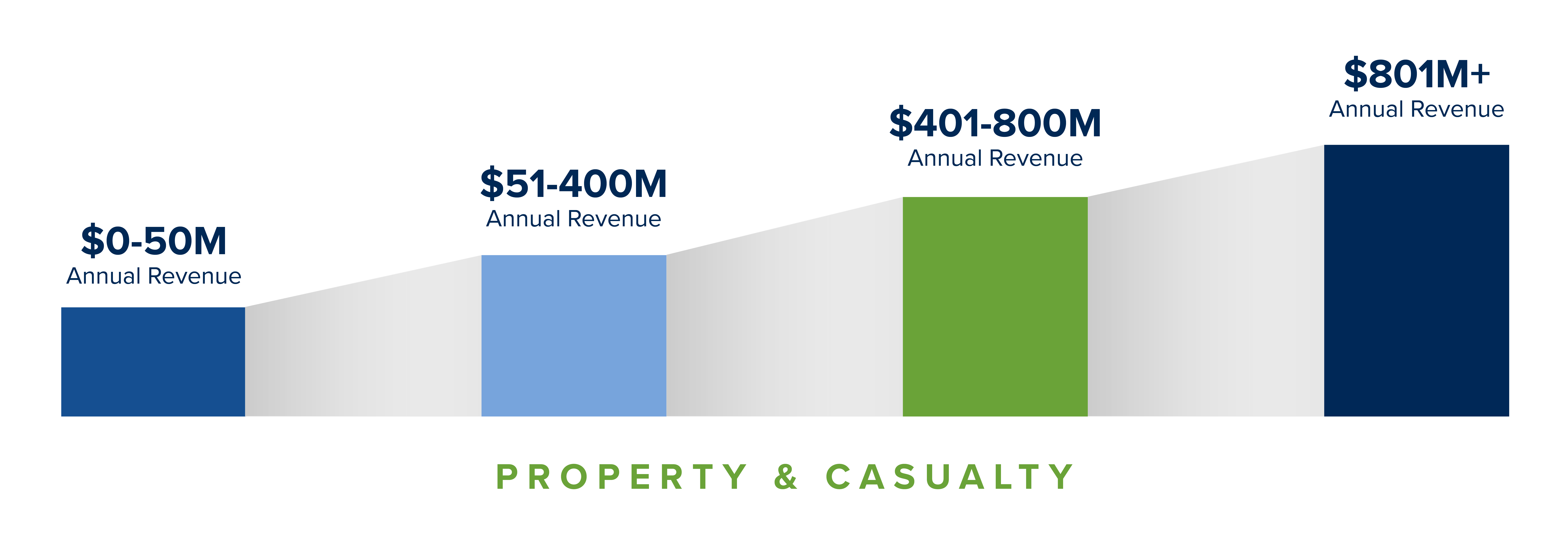 Case Studies_Growth_P&C2-01 (1)